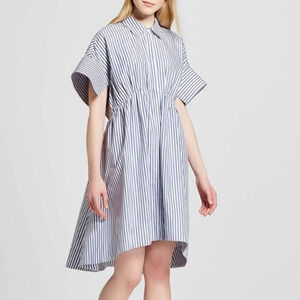 Victoria Beckham for Target Blue Stripe Poplin Gathered Waist Dress 3X